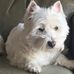 Edward Podany - Facebook