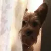 edwardpokrzywnick - @edwardpokrzywnick - TikTok