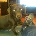 Edward Polkey - Facebook
