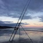 Edward Polley - @edward.polley - Instagram