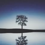 Edward Prada - @edwpra - Instagram