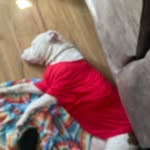 Edward Prewitt - @edwardprewitt6 - Instagram