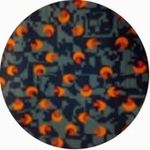 Edward Priestley - @edwardpriestley_ - Instagram