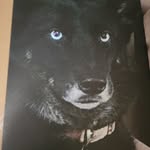 Edward Prus - @edwardprus - Instagram