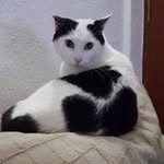 Edward Puerto - @edwardpuerto - Instagram