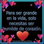 Edward Pulido - @edward.pulido.372 - Instagram