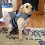 Edward Putnam - @gadwardp - Instagram
