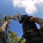 Edward Putnam - @edward_chainsaw_hands - Instagram