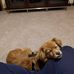 Edward Pyun - Facebook
