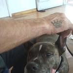 Edward Quail - @edward.o.quail - Instagram