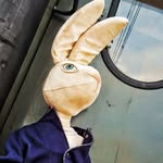 Кролик Эдвард - @the_rabbit_edward - Instagram