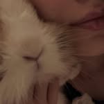 Edward - @edward_therabbit - Instagram