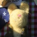 Edward the Rabbit - @thematchboxrabbit - Instagram