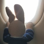 Edward The Traveling Rabbit - @edward_thetravelingrabbit - Instagram