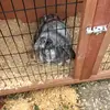 tg10 - @myrabbitedward - TikTok