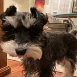 Edward Ragland - @edwardragland - Instagram