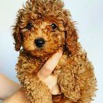 Edward Ramey - @edwa.rd5337 - Instagram