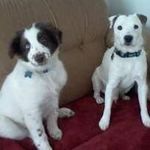 Edward Ramey - @rameys2003 - Instagram