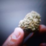 edward ransom - @drugaddict100 - Instagram