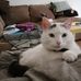 Edward Rau - Facebook
