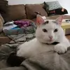 edwardrau6 - @edwardrau6 - TikTok