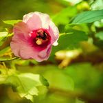 Edward Redding - @vivacousphotography - Instagram