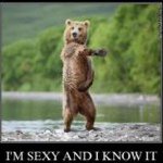 Edward Rees - @b3ar12 - Instagram