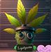 Edward Reyes - Facebook