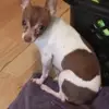 Edward Reiger - @edward.reiger - TikTok