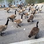 Edward George Reimer - @abby_2067 - Instagram
