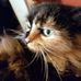 Ed Reiser - Facebook