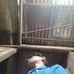 Edward Renz Bernales - Facebook