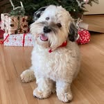 Edward Renner - @edwardrenner1 - Instagram