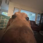 Preston - @preston.edwards099 - Instagram