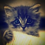 ben - @edwardrhone8 - Instagram