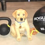 Riggins Edwards - @rigginsedwards - Instagram