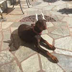edwardrimacmsncom - @edwardrimacmsncom - Instagram