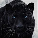 edward Alexander rincon - @edwardrincon25 - Instagram