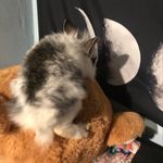 EdwardRinger - @edwardringer8 - Instagram