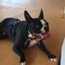 Ed Rittenhouse - Facebook