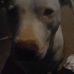 Ed Rittenhouse - Facebook
