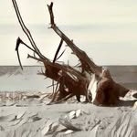 Edward Fritz - @edward_fritz64 - Instagram