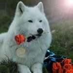 Edward Ritz - @ritz.edward - Instagram