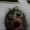 Edward - @edwardrodriguezro2 - TikTok