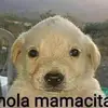 Edward Roa - @eddy_0170 - TikTok