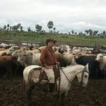 Edward Flores - @edwardrobertofloresestigarribi - Instagram