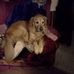 Ed Robillard - Facebook