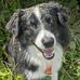 Edward Robitaille - Facebook