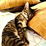 Ed. - @edwardrobledo75 - Instagram