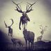 Eddie Roff - Facebook